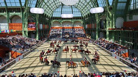 saut hermes grand palais 2019|Saut Hermes 2019 .